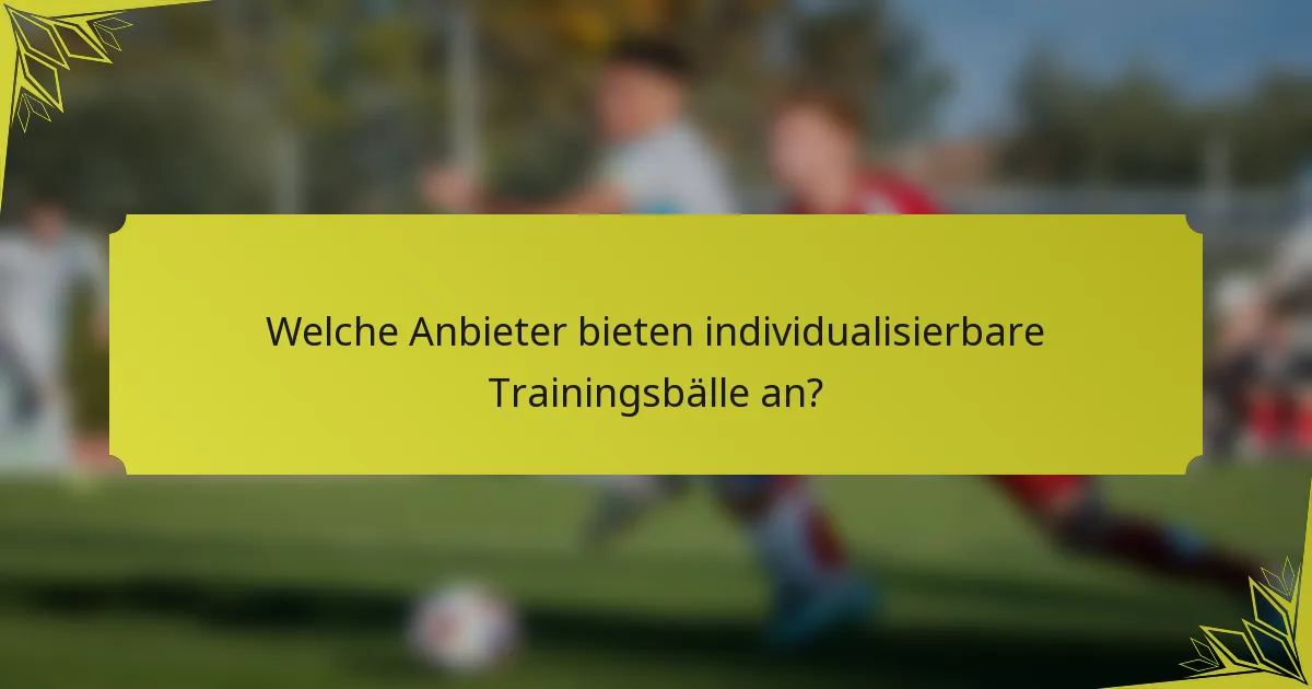 Welche Anbieter bieten individualisierbare Trainingsbälle an?