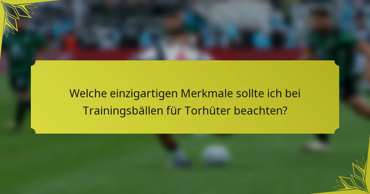 Welche einzigartigen Merkmale sollte ich bei Trainingsbällen für Torhüter beachten?