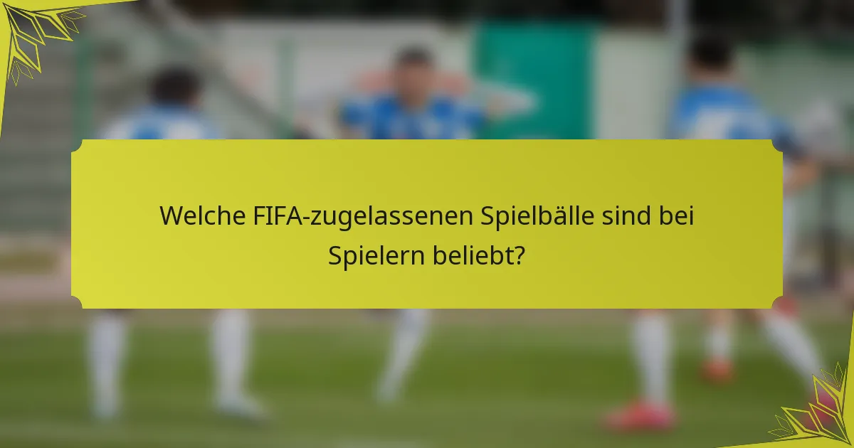 Welche FIFA-zugelassenen Spielbälle sind bei Spielern beliebt?