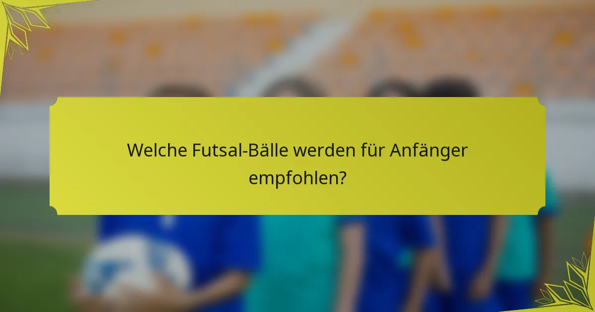 Welche Futsal-Bälle werden für Anfänger empfohlen?
