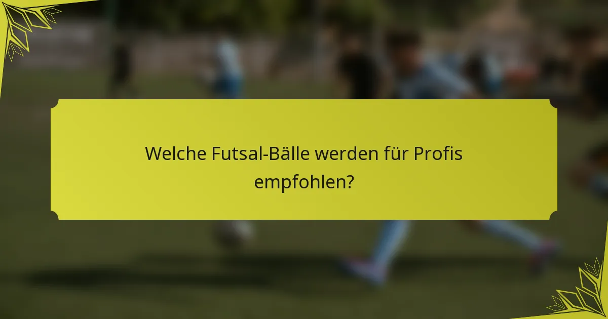 Welche Futsal-Bälle werden für Profis empfohlen?