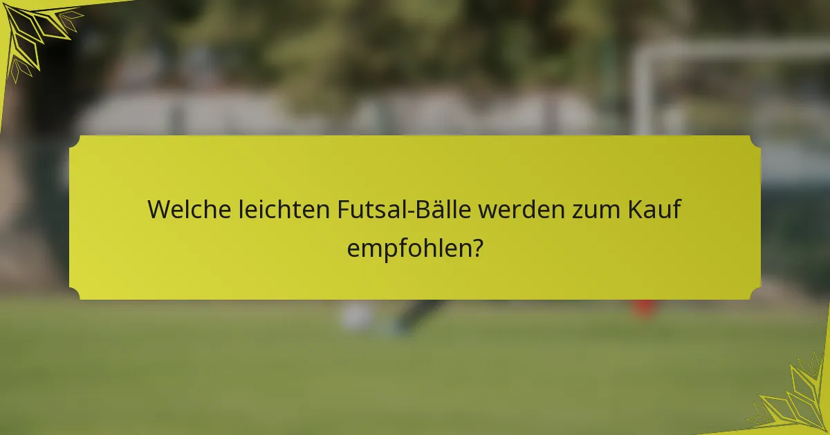 Welche leichten Futsal-Bälle werden zum Kauf empfohlen?