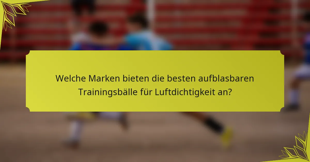 Welche Marken bieten die besten aufblasbaren Trainingsbälle für Luftdichtigkeit an?