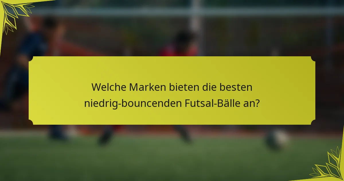 Welche Marken bieten die besten niedrig-bouncenden Futsal-Bälle an?