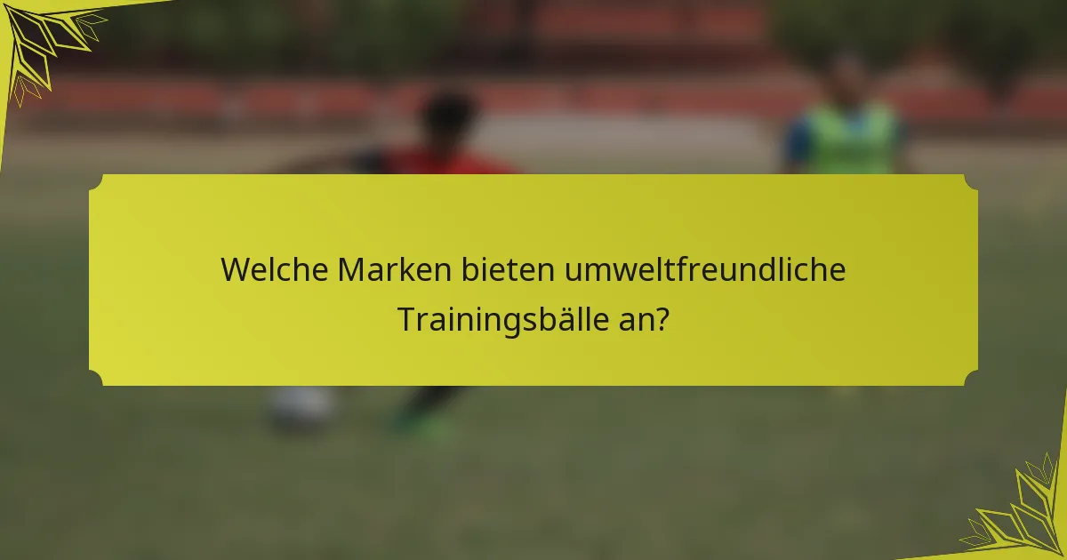 Welche Marken bieten umweltfreundliche Trainingsbälle an?