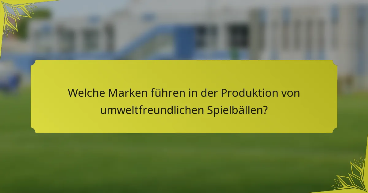 Welche Marken führen in der Produktion von umweltfreundlichen Spielbällen?