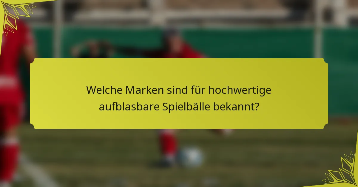Welche Marken sind für hochwertige aufblasbare Spielbälle bekannt?