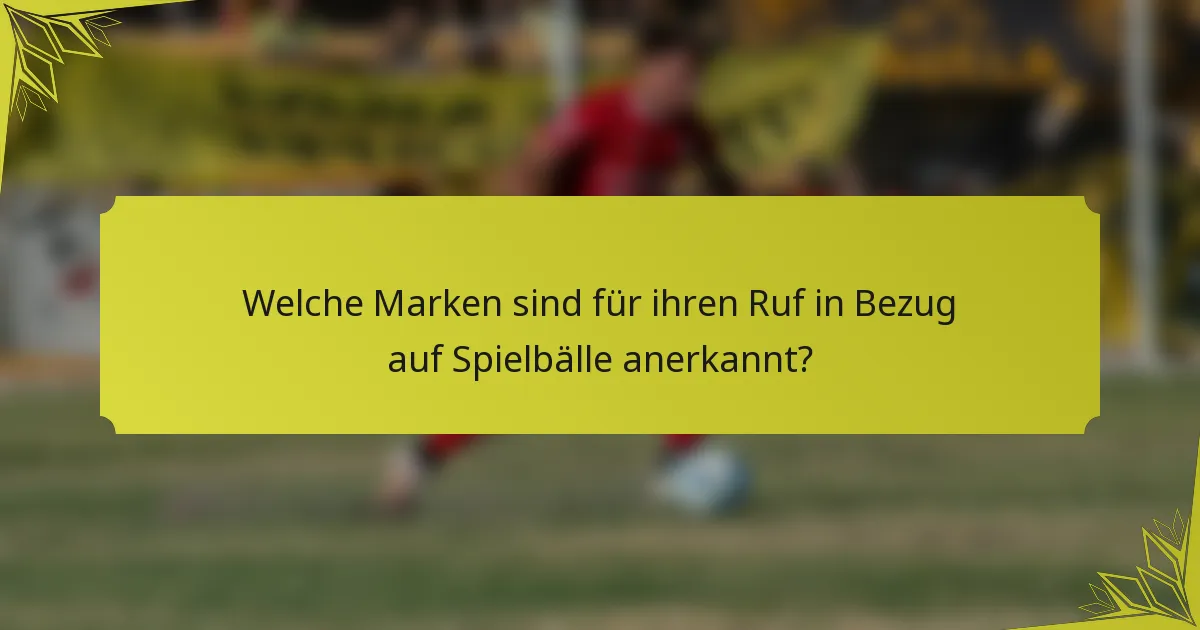 Welche Marken sind für ihren Ruf in Bezug auf Spielbälle anerkannt?