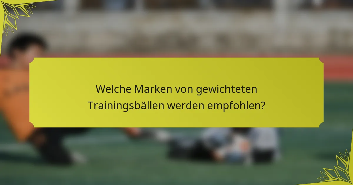 Welche Marken von gewichteten Trainingsbällen werden empfohlen?