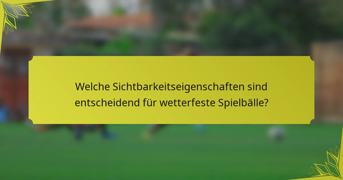 Welche Sichtbarkeitseigenschaften sind entscheidend für wetterfeste Spielbälle?
