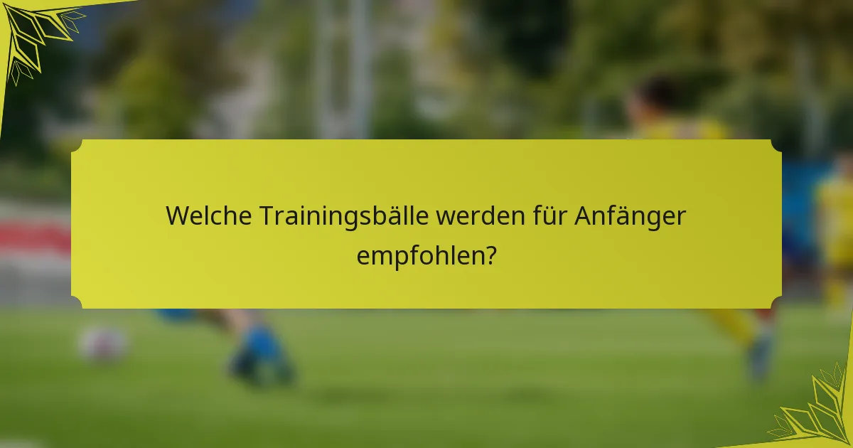 Welche Trainingsbälle werden für Anfänger empfohlen?