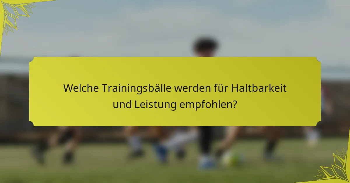 Welche Trainingsbälle werden für Haltbarkeit und Leistung empfohlen?