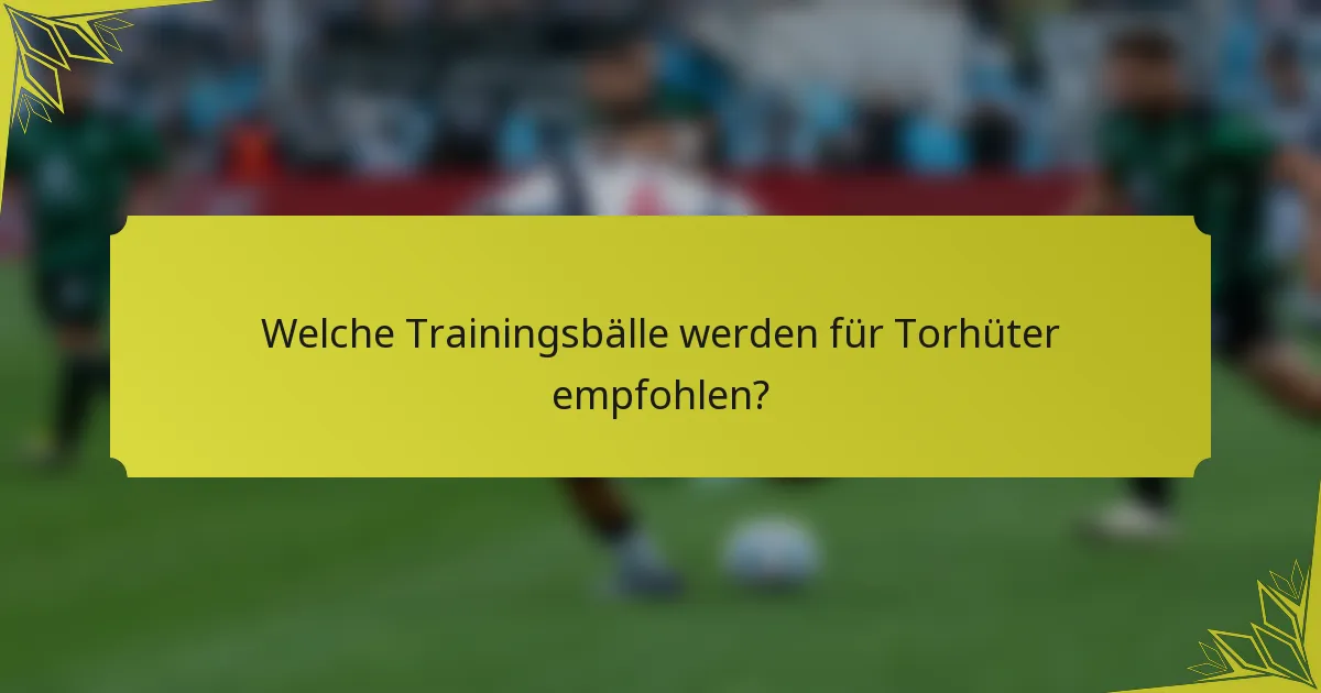 Welche Trainingsbälle werden für Torhüter empfohlen?
