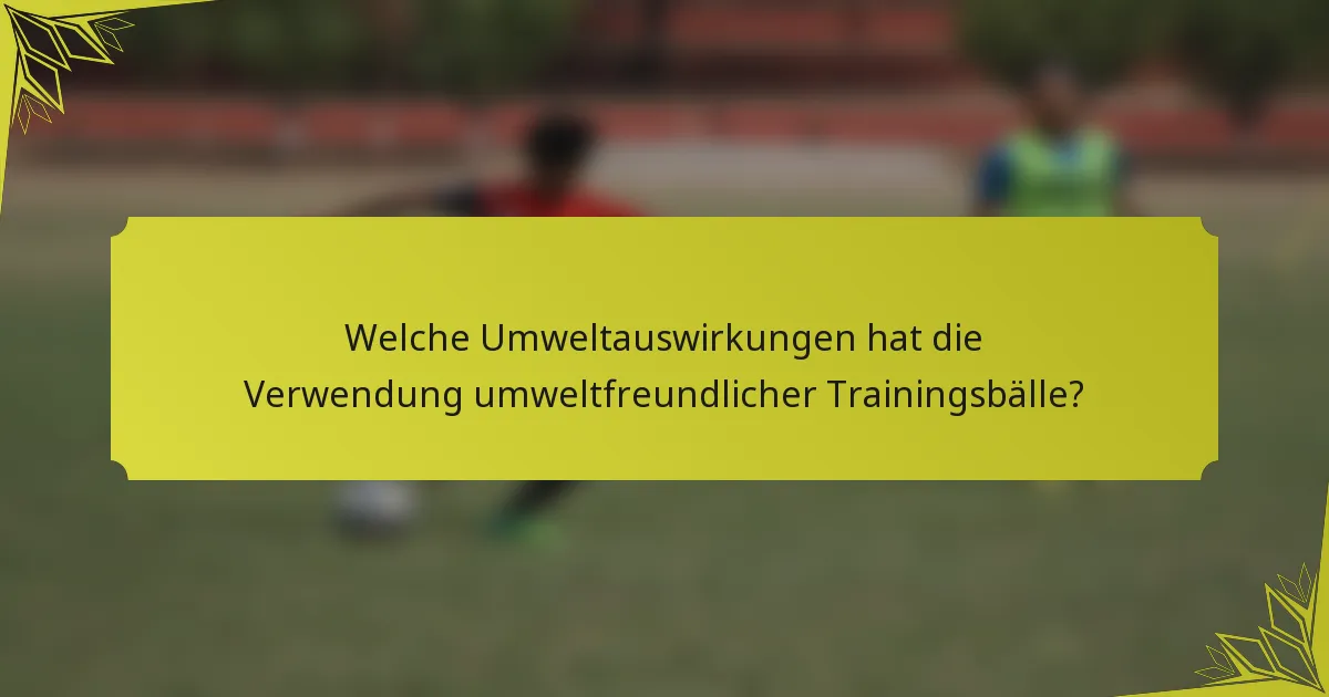 Welche Umweltauswirkungen hat die Verwendung umweltfreundlicher Trainingsbälle?
