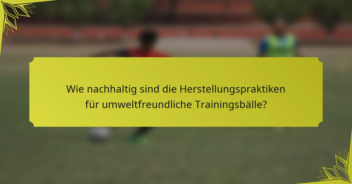 Wie nachhaltig sind die Herstellungspraktiken für umweltfreundliche Trainingsbälle?