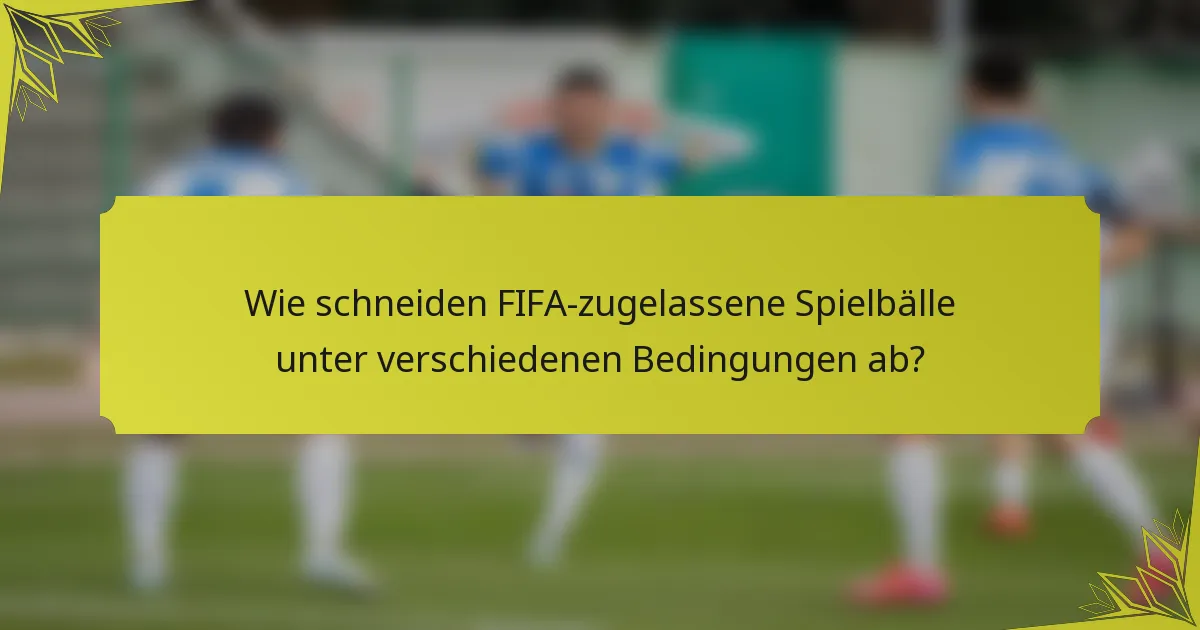 Wie schneiden FIFA-zugelassene Spielbälle unter verschiedenen Bedingungen ab?