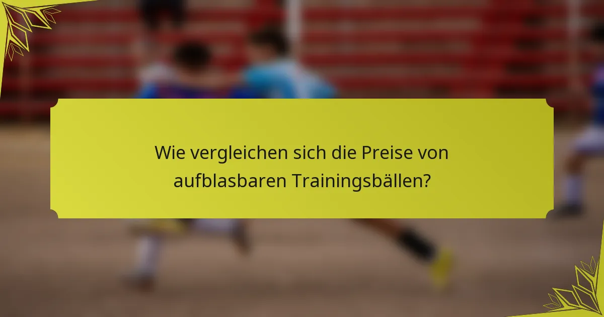 Wie vergleichen sich die Preise von aufblasbaren Trainingsbällen?