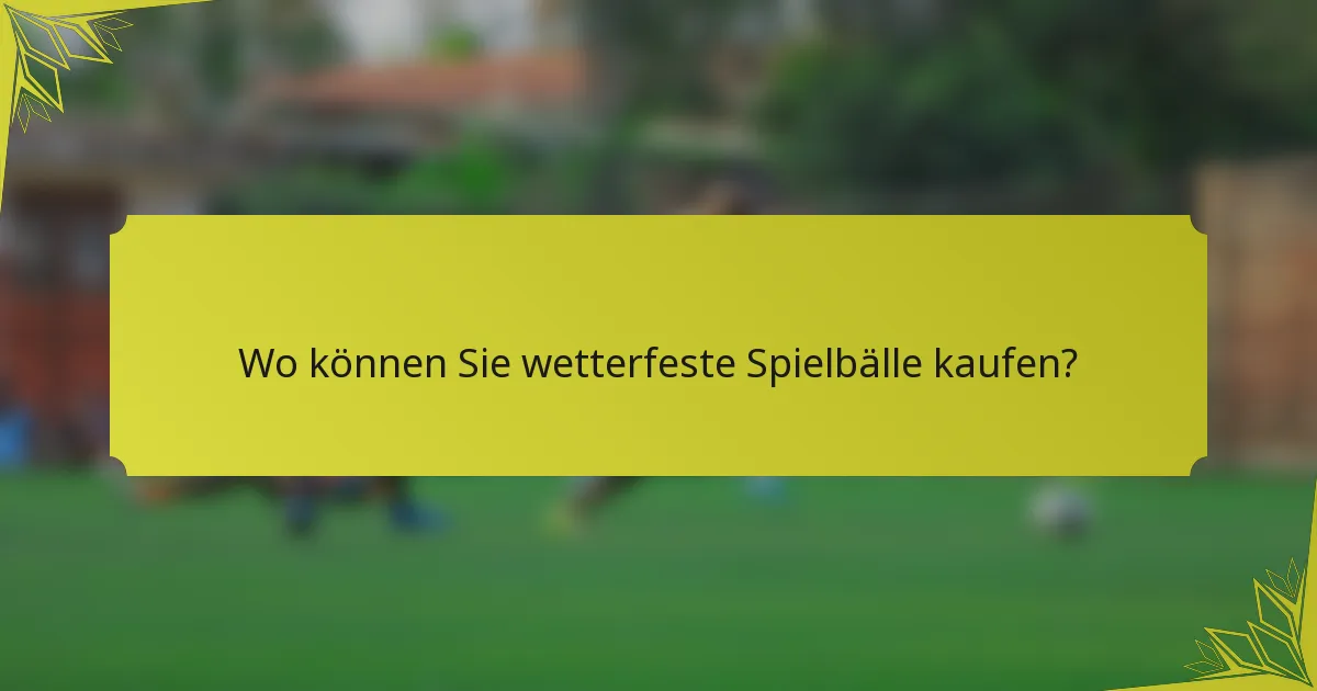Wo können Sie wetterfeste Spielbälle kaufen?